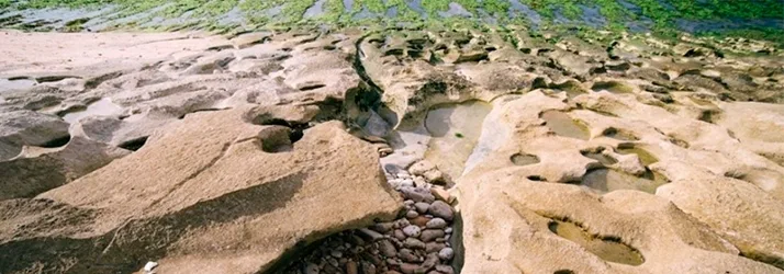 How did my spine get like that in Coeur d’Alene ID?